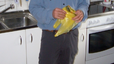 2009 Switzerland